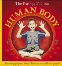 Image of Human Body: The Pop-up, Pull-out