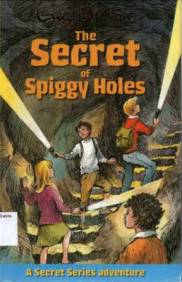 Secret of Spiggy Holes, The: A Secret Series Adventure 2