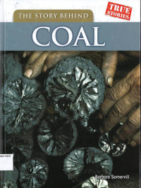 Story Behind Coal, The: True Stories