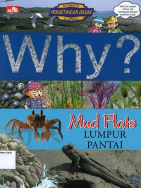 Why? Mud Flats: Lumpur Pantai