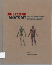 30 - Second Anatomy