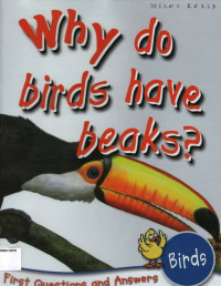 Why do Birds Have Beaks?