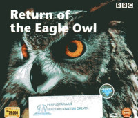 Return of the Eagle Owl