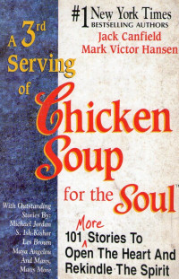 3rd serving Chicken Soup for the Soul, A: 101 More Stories to Open the Heart and Rekindle The Spirit