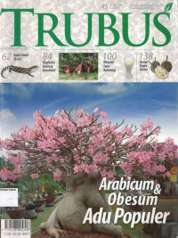 Juni 2007: TRUBUS