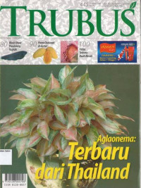 Desember 2006: TRUBUS