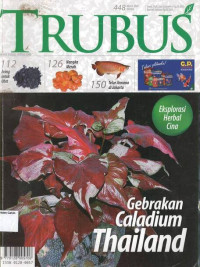 Maret 2007: TRUBUS