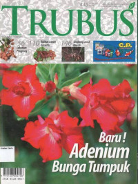 Januari 2007: TRUBUS