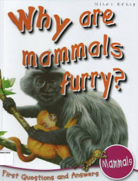 Why are Mammals Furry?