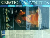 Poster: Creation & Evolution