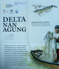 Poster: Delta nan Agung: National Geographic